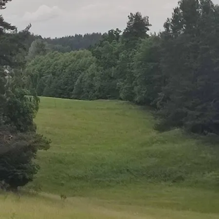 Lesny Dworek - Super Z Tv I Salonem Kominkowym Alloggio in famiglia